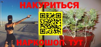 сатива Малгобек