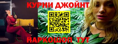 сатива Малгобек
