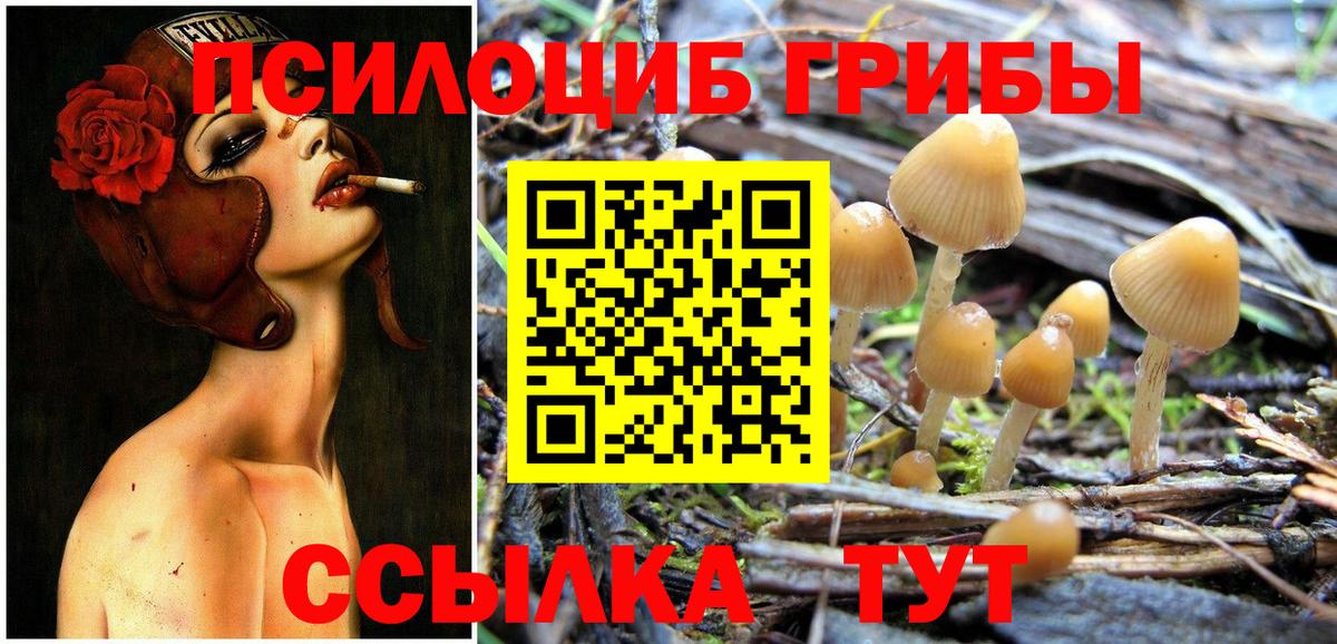 Псилоцибиновые грибы ЛСД Вичуга