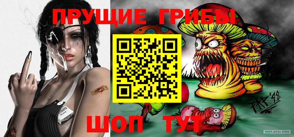 Псилоцибиновые грибы Cubensis  Вход с VPN  Вичуга 